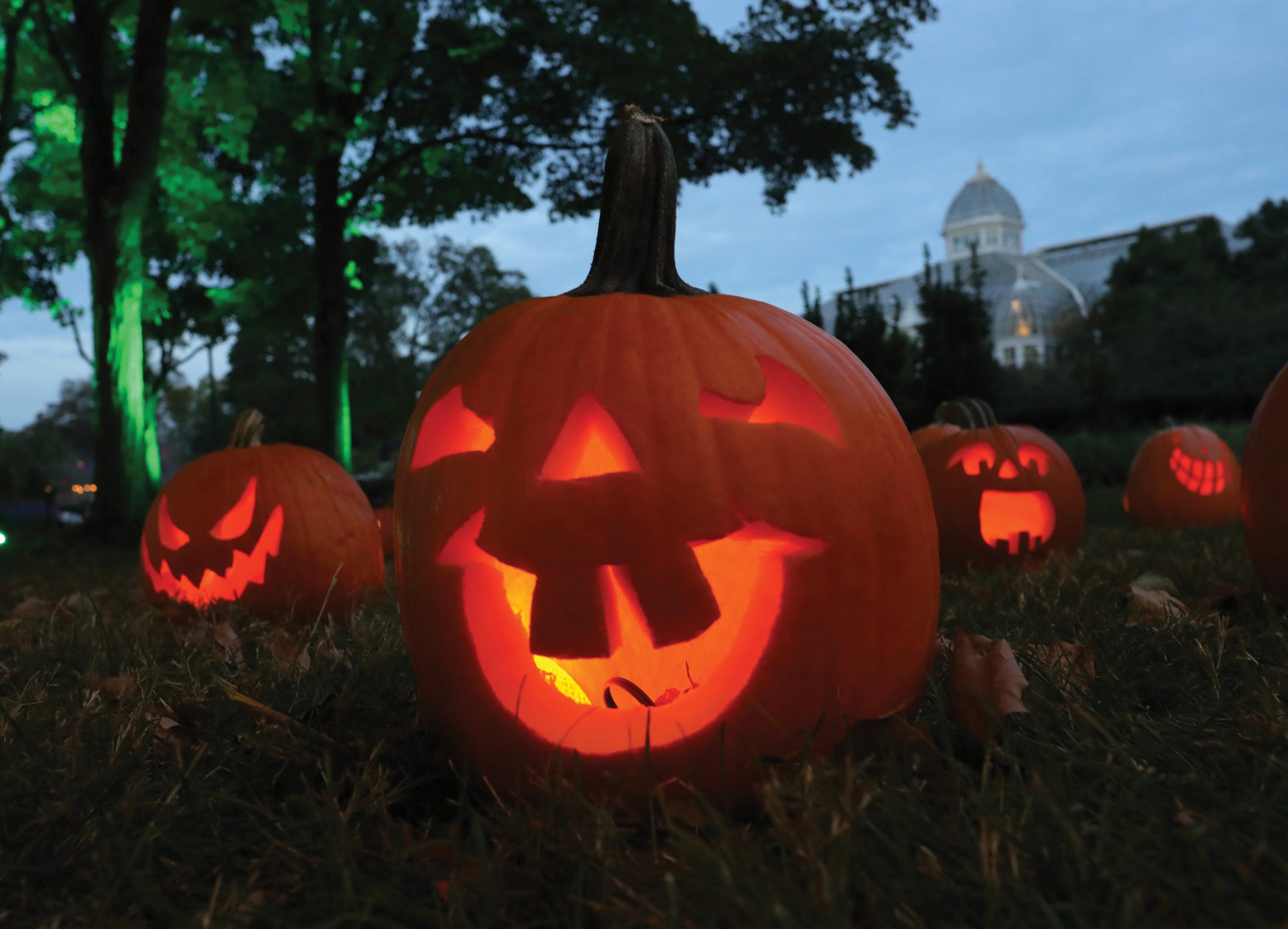 A scene from the 2021 installment of Pumpkins Aglow at Franklin Park Conservatory and Botanical Gardens